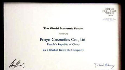 美丽“联合国”DB视讯全球成长之路